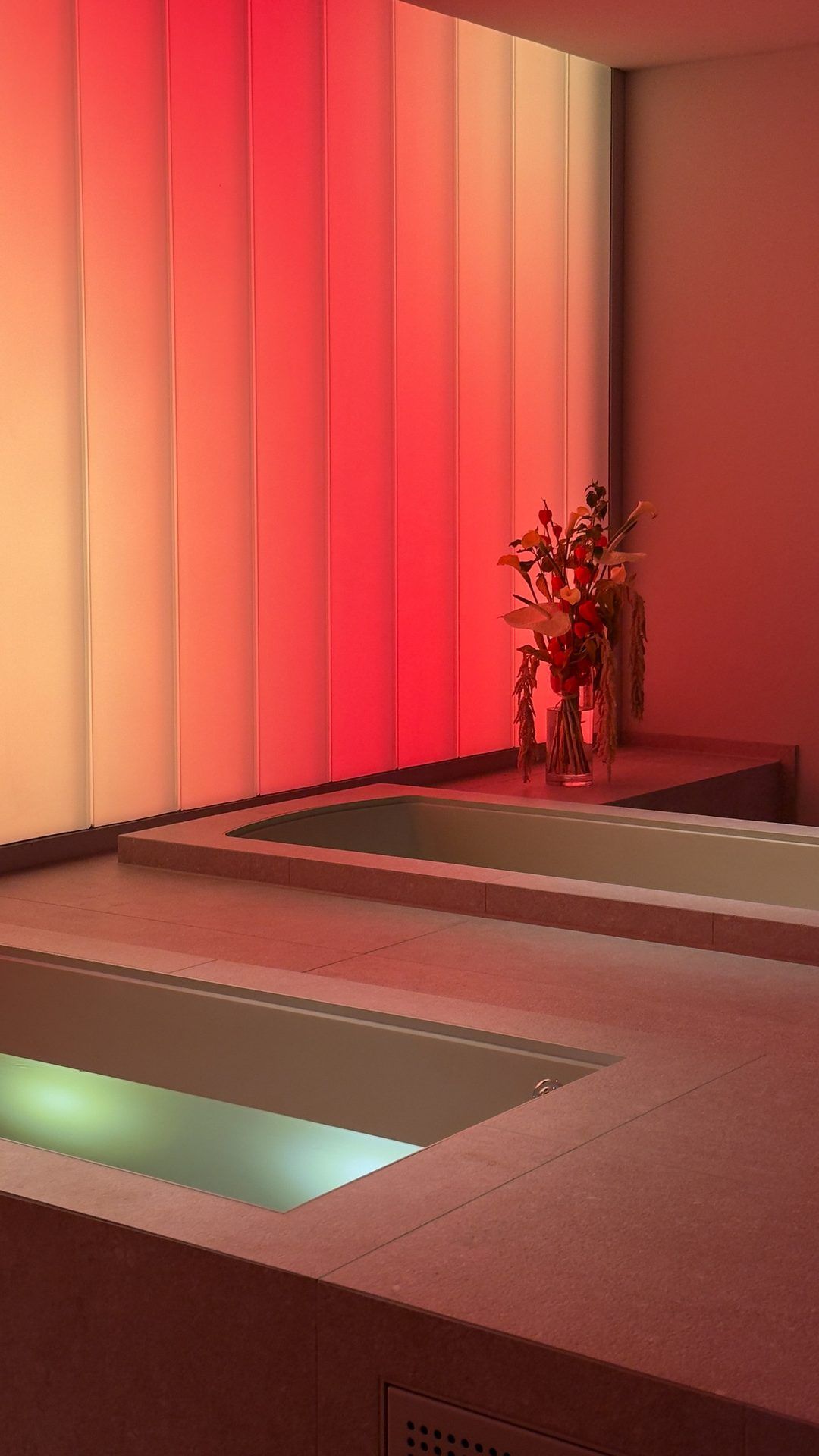 Two stone cold plunge pools in front of a pink backlit wall, a vase of flowers behind them