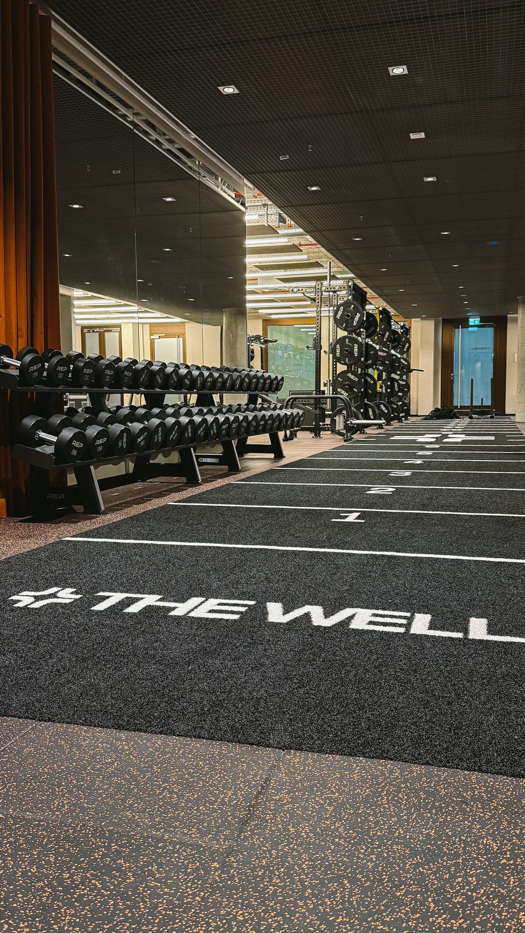 Black turf track with white lines and the THE WELL logo, rows of dumbbells on the left
