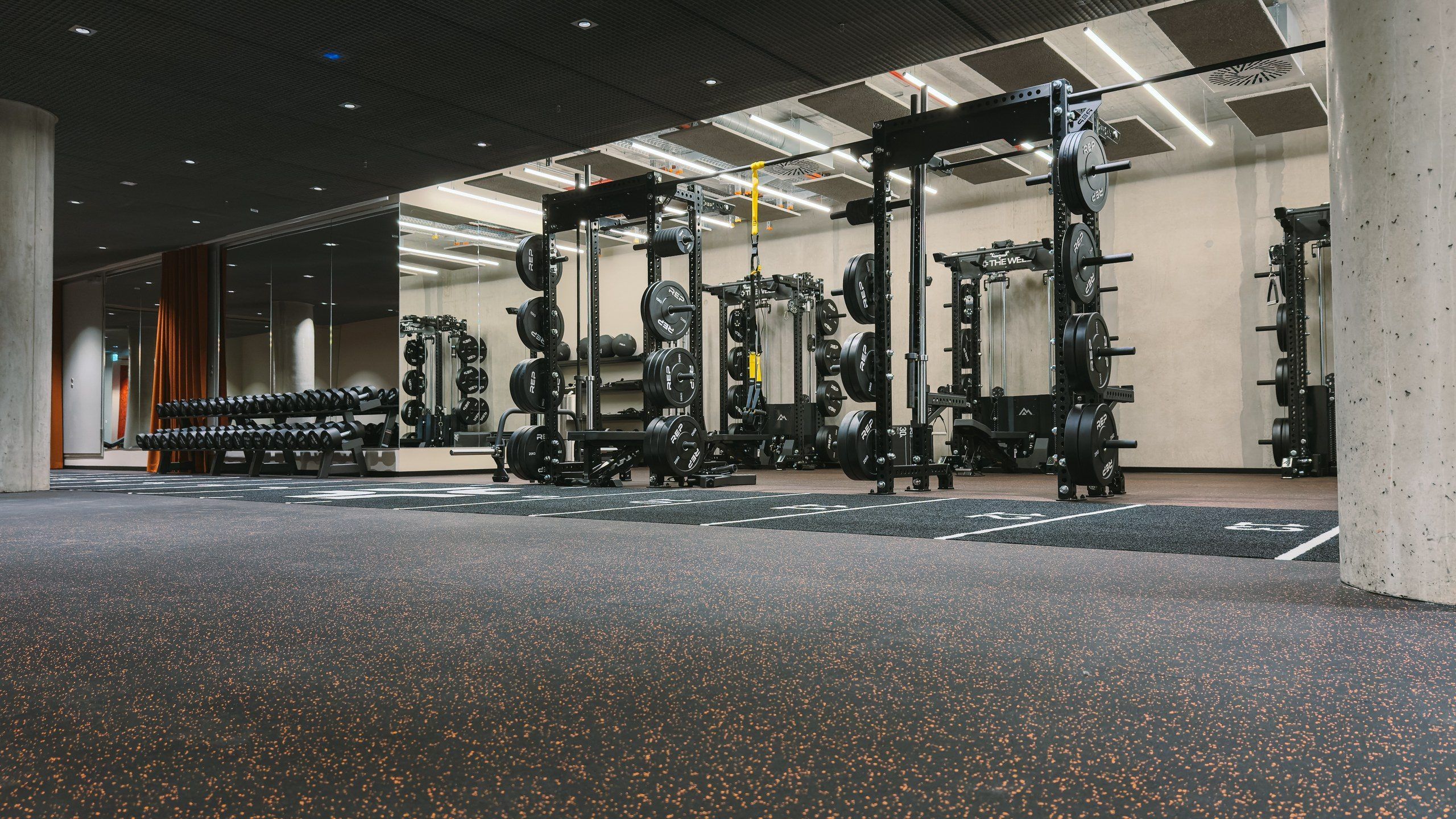 Empty gym with power racks, weight plates and rows of dumbbells under a concrete ceiling