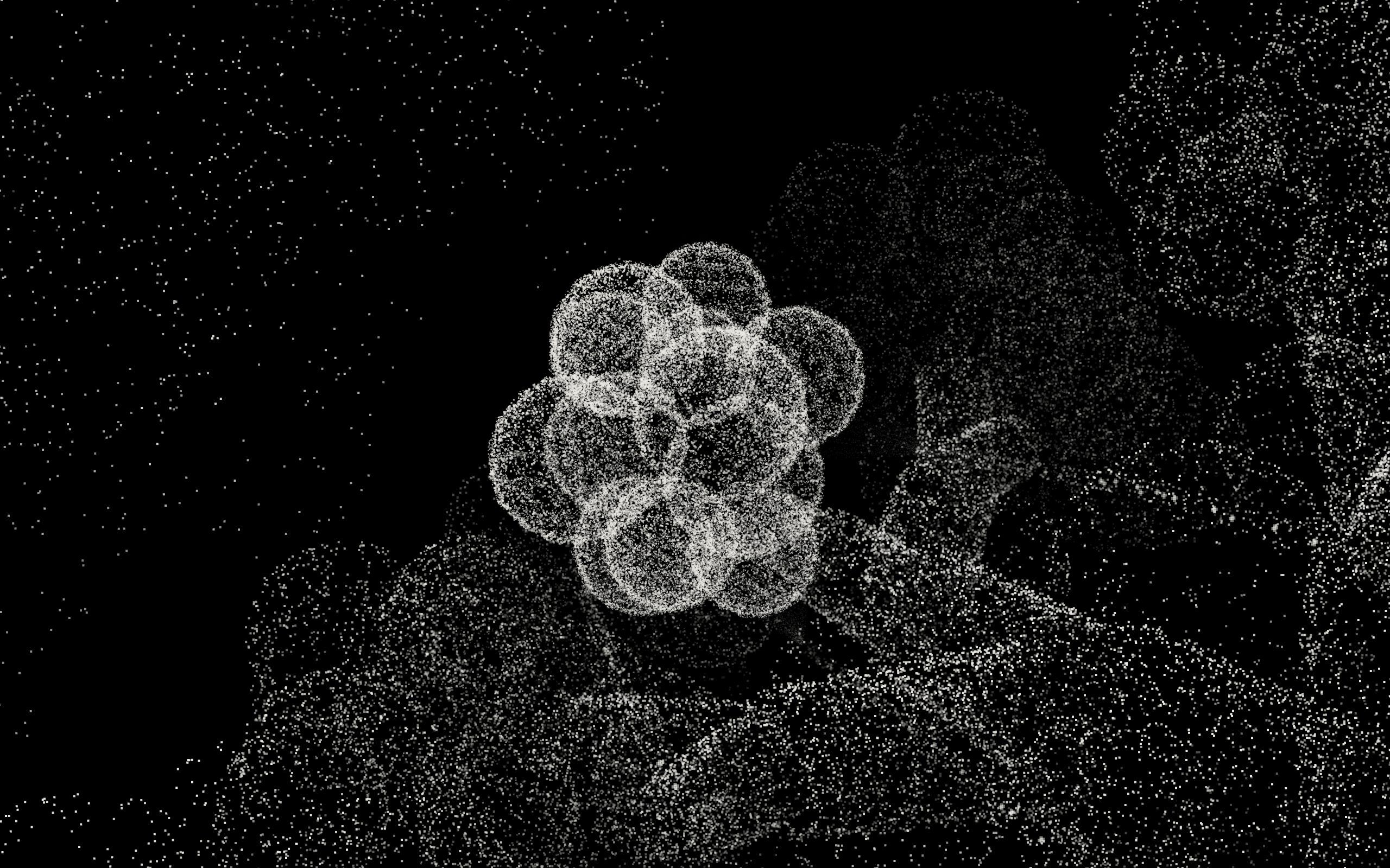 A cluster of air sacs made of light dots on black, finer airways around it